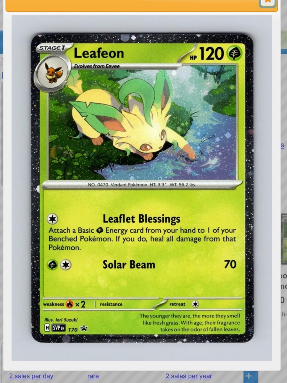 Leafeon #170 Pokemon Promo Holo